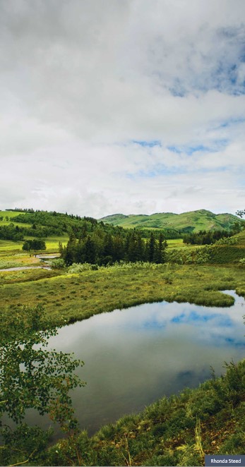 Photo of landscape featuring a lake in the forefront surrounded by evergreen trees and rolling, lush green hills