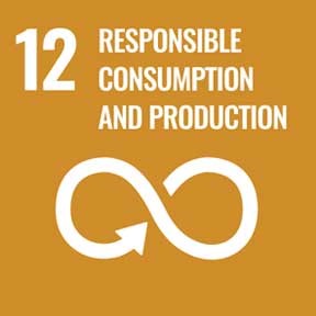 Decal for the United Nations Sustainable Development Goal 12: Responsible Consumption and Production