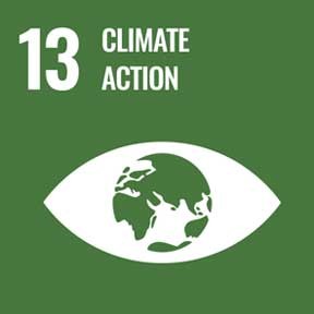 Decal for the United Nations Sustainable Development Goal 13: Climate Action