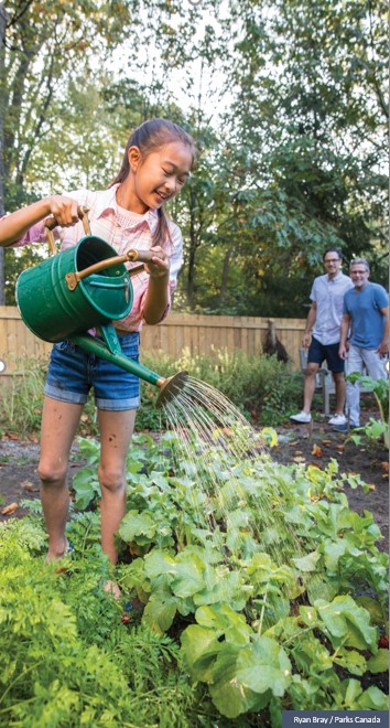 A girl waters leafy green plants in the garden