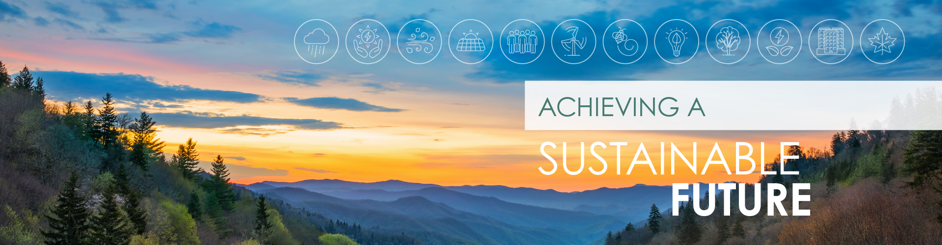 Achieving a Sustainable Future