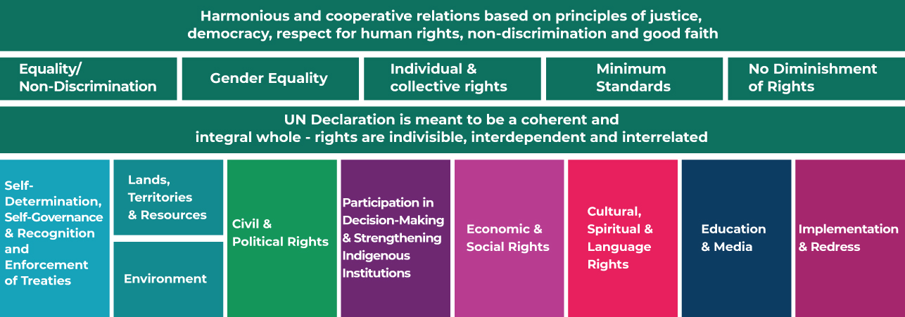 Themes of the United Nations Declaration on the Rights of Indigenous Peoples