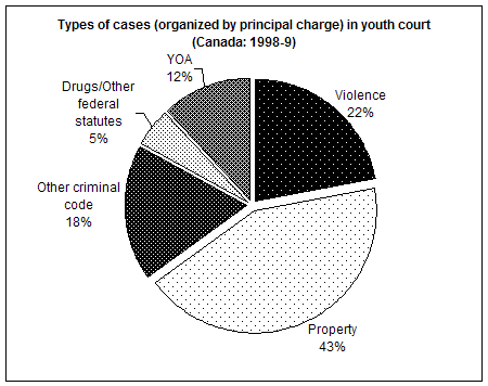 Figure A2: Types of cases in youth court