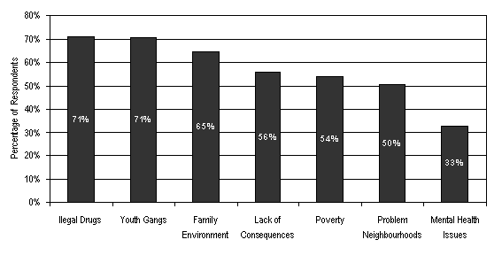 Figure 5, chart representing the percentage of respondents who indicated that specific factors play a strong role in contributing to youth crime.