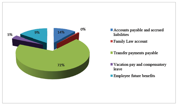 Liabilities by type, described below
