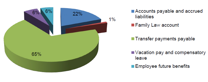 Liabilities by type