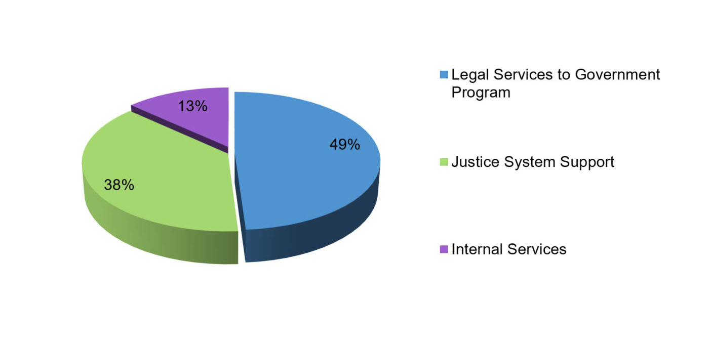 Expenses by Program Activity described below
