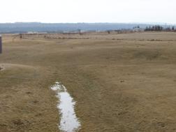 Photo of a field