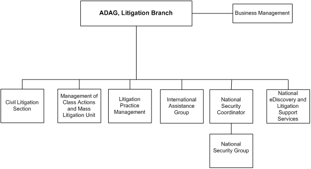 Organizational Chart for the Litigation Branch, described below