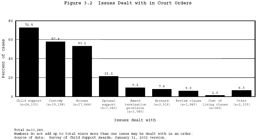 Figure 3.2 Issues Dealt with in Court Orders