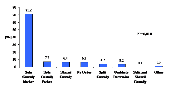 Figure&nbsp;13: Type of Custody Arrangements