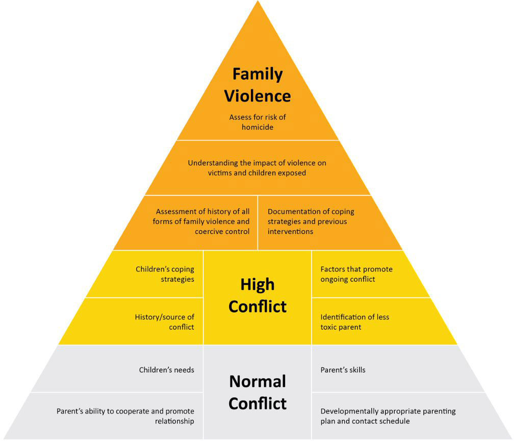 Figure&nbsp;3: Parenting plans: Issues in family violence cases