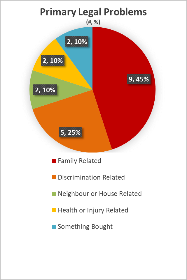 Figure&nbsp;3 &ndash; Primary Legal Problems