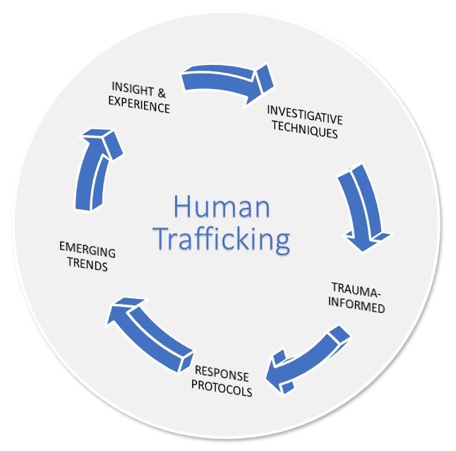 Figure&nbsp;1: Human trafficking investigations themes wheel
