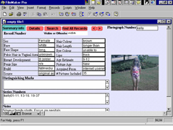 Voir la description ci-dessous