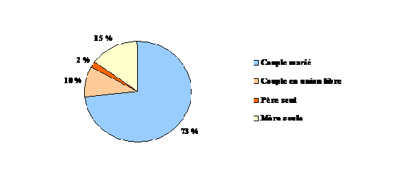 Figure 5 : Proportion d'enfants dans les ménages privés, selon la structure de la famille, 1996